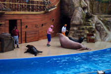 FL_SeaWorld_05_1000.jpg