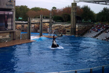 FL_SeaWorld_10_1000.jpg