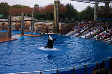 FL_SeaWorld_15_1000.jpg