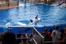 FL_SeaWorld_20_1000.jpg