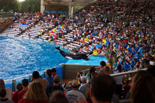 FL_SeaWorld_30_1000.jpg