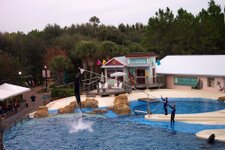 FL_SeaWorld_35_1000.jpg