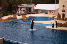 FL_SeaWorld_40_1000.jpg