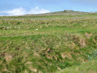 2_Donegal_680.jpg