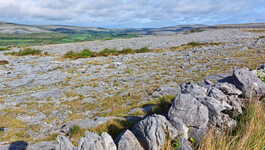 1_Poulnabrone_040.jpg