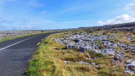 1_Poulnabrone_060.jpg