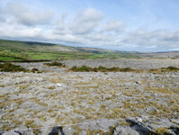 1_Poulnabrone_500.jpg