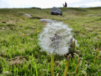 1_Poulnabrone_760.jpg