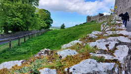 2_RockofCashel_080.jpg