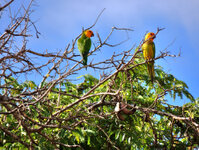 07_Bonaire_037.jpg