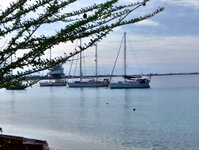 07_Bonaire_064.jpg