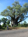 22_Victoria_Falls_0074.jpg