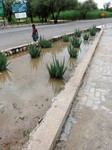 03_Etosha_1_0400.jpg