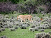 03_Etosha_1_0800.jpg