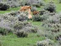 03_Etosha_1_0920.jpg