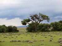 03_Etosha_1_1400.jpg