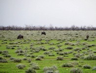 03_Etosha_1_1440.jpg