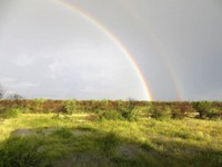 03_Etosha_1_1460.jpg