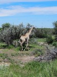 04_Etosha_2_0530.jpg