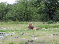 04_Etosha_2_1470.jpg