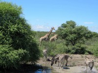 04_Etosha_2_2030.jpg