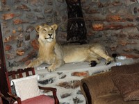 04_Etosha_2_3750.jpg