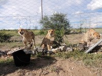 04_Etosha_2_3810.jpg