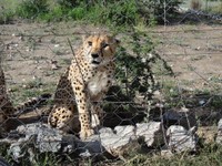 04_Etosha_2_3850.jpg