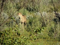 05_Etosha_3_0100.jpg