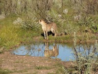 05_Etosha_3_0190.jpg