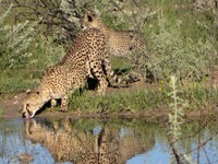 05_Etosha_3_0225.jpg