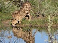 05_Etosha_3_0285.jpg