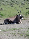 05_Etosha_3_0760.jpg