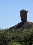 06_Damara_Mopane_0250.jpg