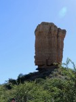 06_Damara_Mopane_0280.jpg