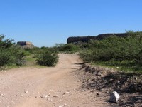 06_Damara_Mopane_0490.jpg