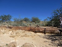 07_Twyfelfontein_0144.jpg