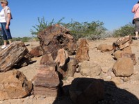 07_Twyfelfontein_0250.jpg