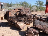 07_Twyfelfontein_0280.jpg