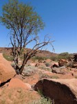 07_Twyfelfontein_0610.jpg