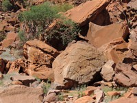 07_Twyfelfontein_0670.jpg