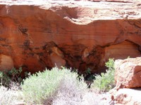 07_Twyfelfontein_0700.jpg