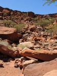 07_Twyfelfontein_0790.jpg