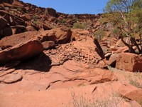 07_Twyfelfontein_0910.jpg