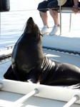 09_Walvis_Bay_0220.jpg