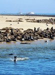 09_Walvis_Bay_0340.jpg