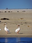 09_Walvis_Bay_0370.jpg