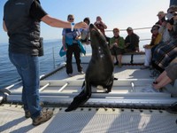 09_Walvis_Bay_0880.jpg