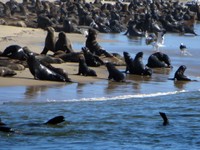 09_Walvis_Bay_0940.jpg