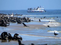 09_Walvis_Bay_0970.jpg